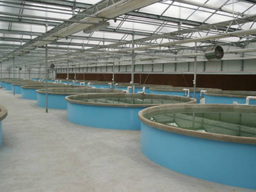 水产养殖温室